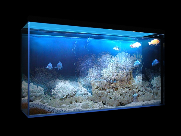 3D модель Aquarium_03