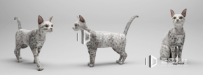 3D модель cat_09