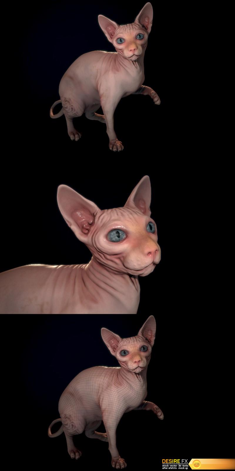 3D модель Sphynx cat_02